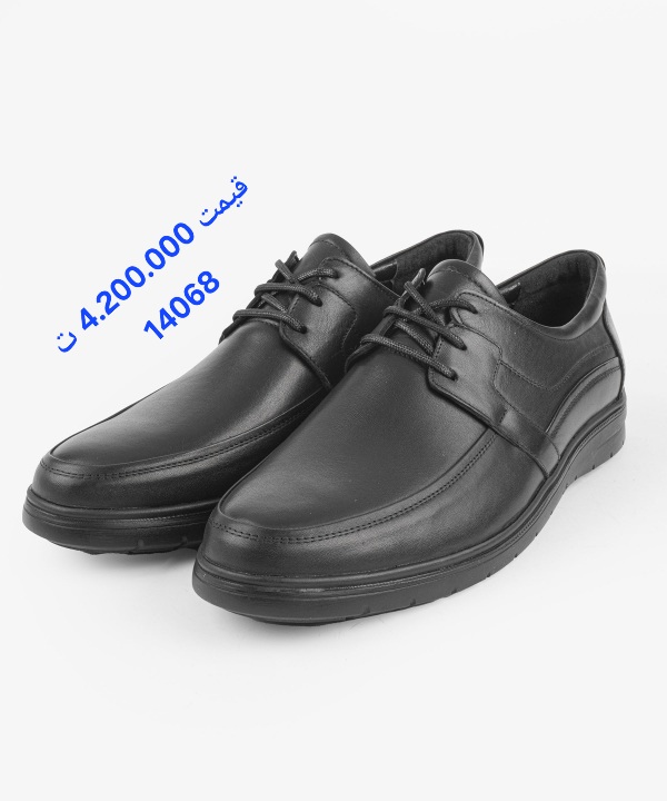 تصویر از کفش مردانه چرم اذر هنر مشکی